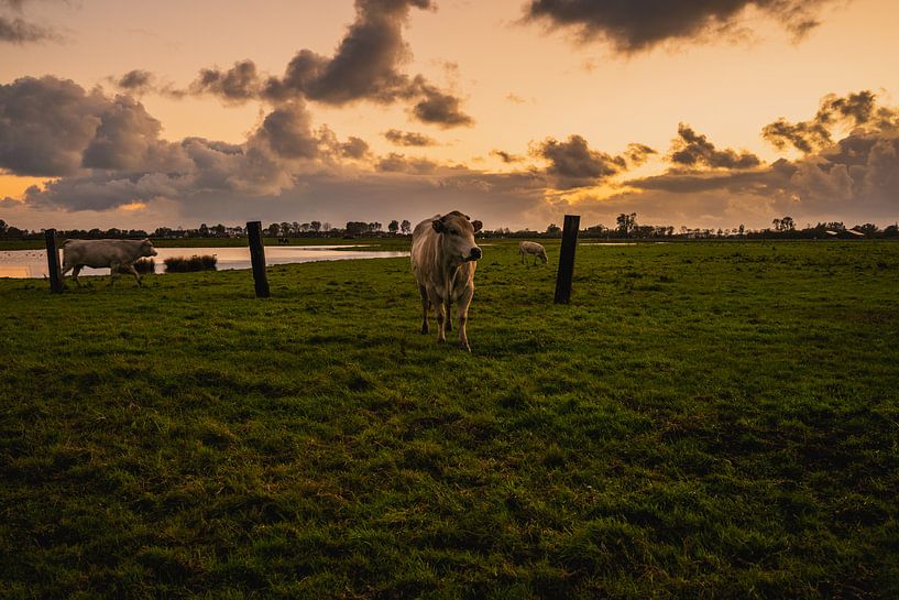Naturschutzgebiet Saint Laurens 2 von Andy Troy