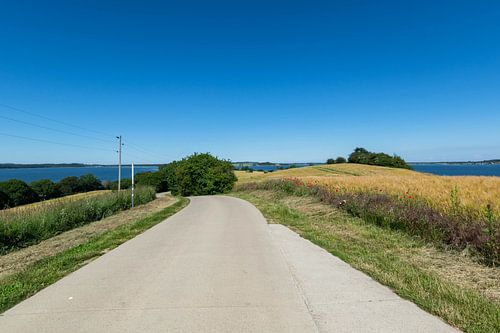 Oude bordenweg bij Reddevitzer Höft
