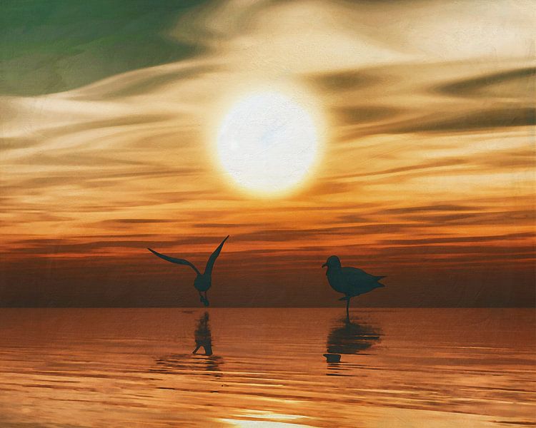 Meeuwen bij zonsondergang van Jan Keteleer