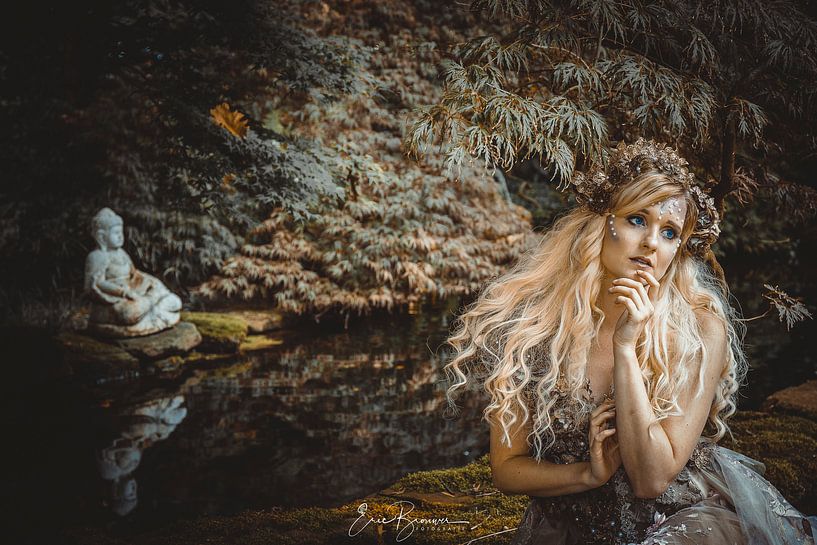 mysterieuze dame par eric brouwer