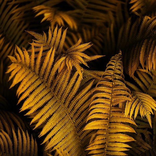 golden far by Anneliese Grünwald-Märkl