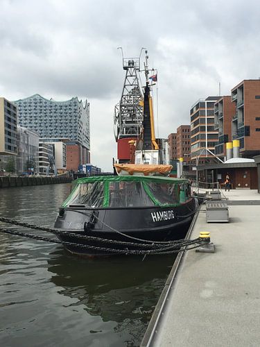 Hamburg Duitsland - Sandtorhafen von Isabelle Val