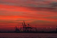 The Red Morning by Stefan Dhondt thumbnail