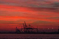 The Red Morning