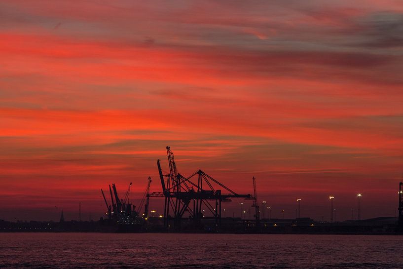 The Red Morning by Stefan Dhondt