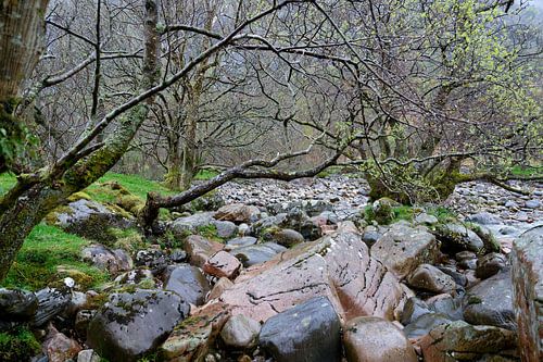 Schotland – prachtige natuur nabij Fort William