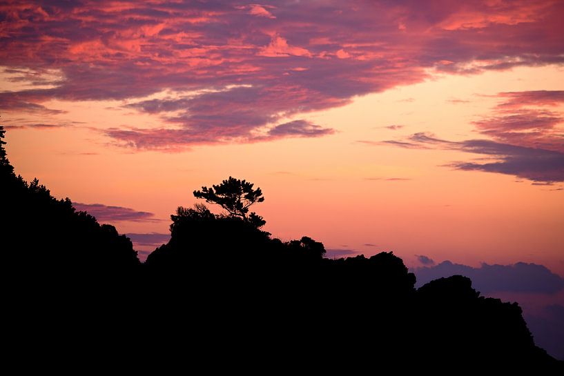 Beautiful silhouette by Myrna's Photography