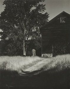 Barn, Lake George (1936) by Alfred Stieglitz