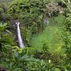 Makahiku Falls Maui by Louise Poortvliet