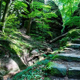 Escalier de pierre au pays des fées, Mullerthal sur Monique Pulles