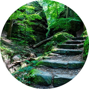 Stenen trap naar sprookjesland, Mullerthal