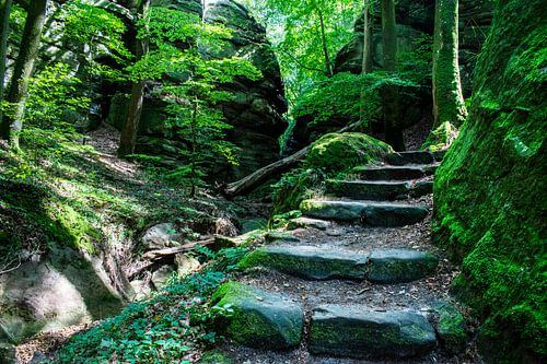 Treppen zu einer Märchenwelt