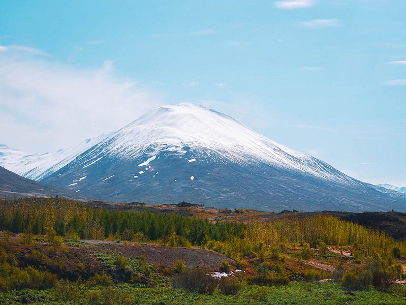 IJslandse besneeuwde berg van Marjon Boerman