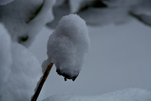 Schneehut