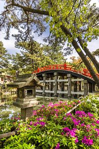 Charmante Taiko-bashi Brücke des Sumiyoshi Taisha Schreins