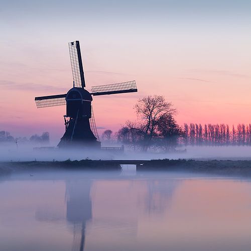 Serene morgen in de Alblasserwaard