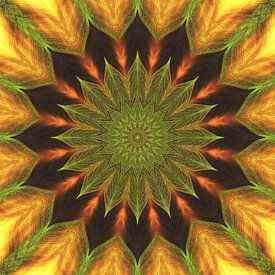 Mandala, kraftvolle Farben von Steffi Hommel