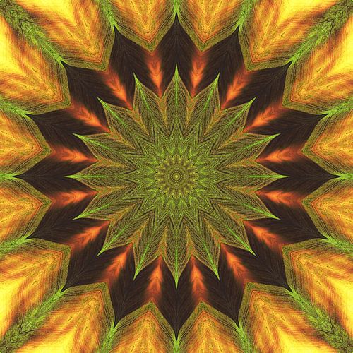 Mandala, kraftvolle Farben von Steffi Hommel