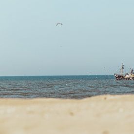 Fishing boat at Scheveningen with many following seagulls by Anne Zwagers