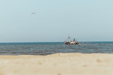Fishing boat at Scheveningen with many following seagulls by Anne Zwagers