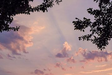 Zonnestralen achter wolken op een paarse lucht bij dageraad van Andreea Eva Herczegh