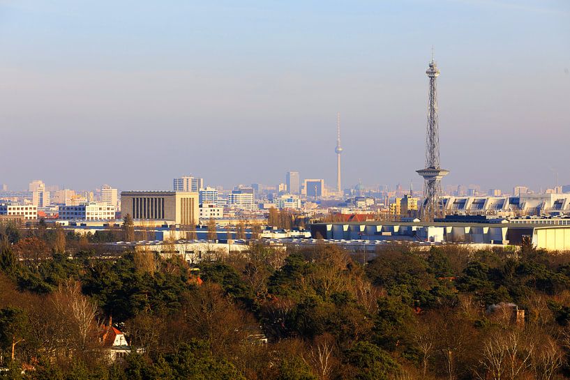 Berlin Skyline mit Funk- und Fernsehturm von Frank Herrmann