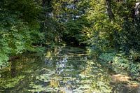 Unberührte Natur
