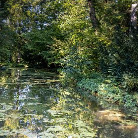 Une nature intacte sur Guenter Purin