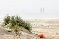 Mistige ochtend op Ameland
