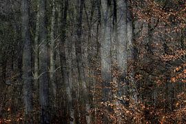 HERFSTDAG 11