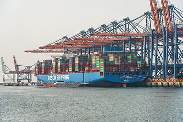 Cosco Shipping CSCL Pacific Ocean containerschip. van Jaap van den Berg