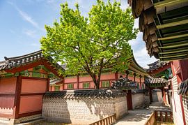 Changdeokgung: Royal Elegance by Karsten Rahn