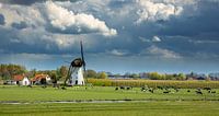 Mill De Marsch, Lienden, Netherlands by Adelheid Smitt thumbnail