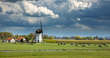 Mühle De Marsch, Lienden, Niederlande von Adelheid Smitt