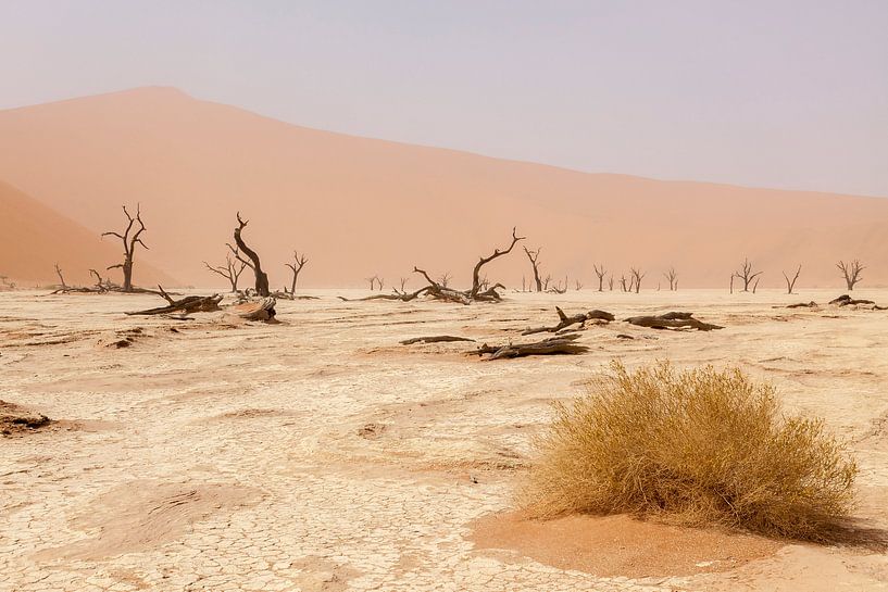 Deadvlei van Cor de Bruijn Photography