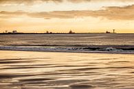 Sunset on the Beach by Thomas van der Willik thumbnail