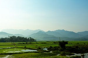 Rice paddies and mountains in Vietnam by Gijs de Kruijf