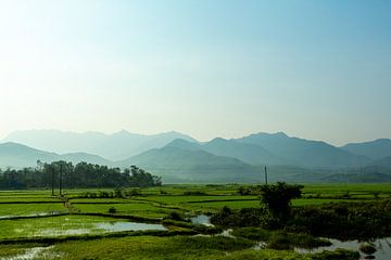 Rice paddies and mountains in Vietnam sur Gijs de Kruijf