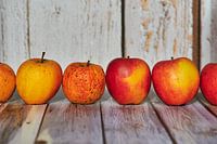 Des pommes posées de façon décorative sur une table au soleil.