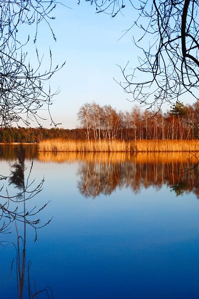 Schöner Abend am stillen See von Thomas Jäger