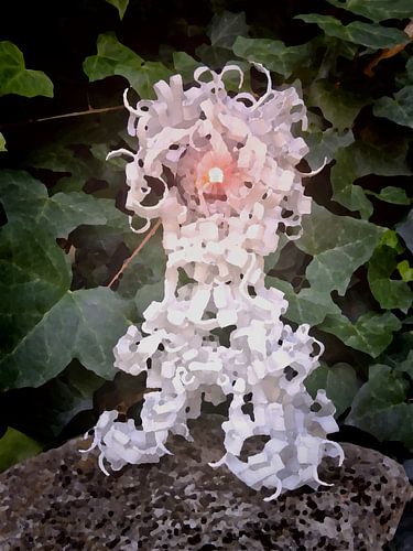 DISCOVERY OF THE ANTIGRAIL