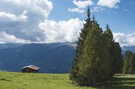 Hoog op de alm II von Guus Quaedvlieg Miniaturansicht