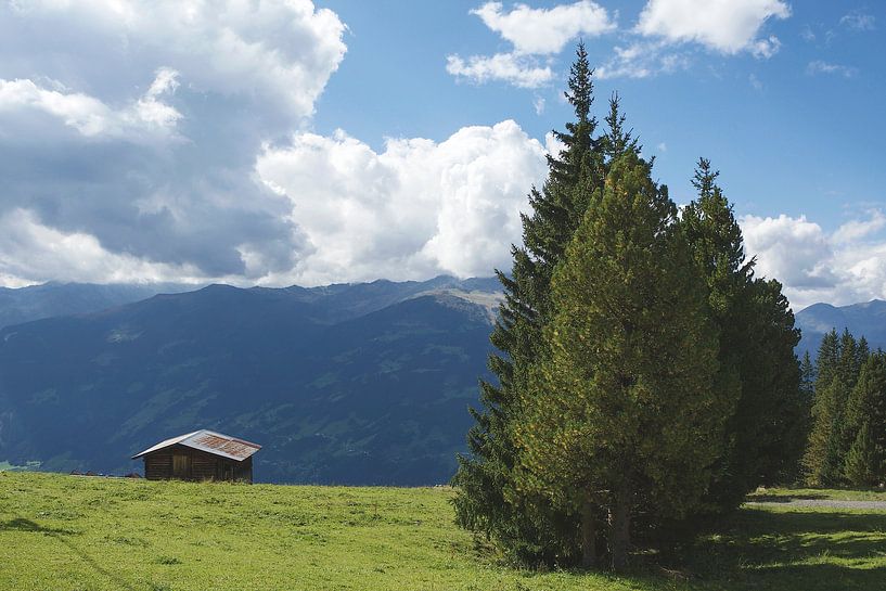 Hoog op de alm II von Guus Quaedvlieg