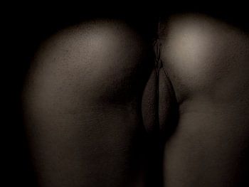 Künstlerischer Akt einer Vagina und eines Gesäßes in Low Key