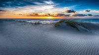 Dune Blick auf den niederländischen Strand von Alex Hiemstra Miniaturansicht