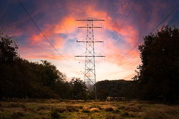 electricity pylon Terlet by Kim van Beveren