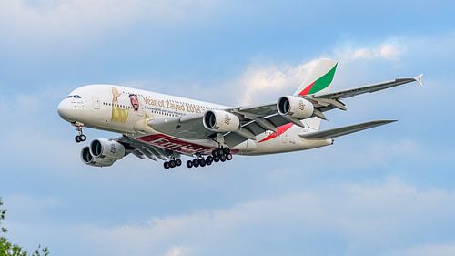 Landende Emirates Airbus A380-800 met special livery.