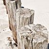 Strand Polonais sur Wendy Bos
