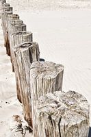 Weathered Beauty: The Magic of the Wadden Islands