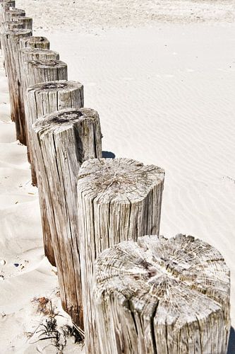 Verwitterte Schönheit: Der Zauber der Watteninseln